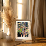 "Bismark Palms" Fine Art Giclee